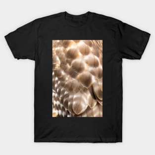 Feathers of a Red Shouldered Hawk T-Shirt